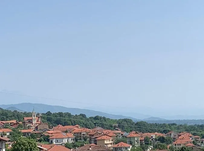 La Pepita Di Pietro Bertolotti